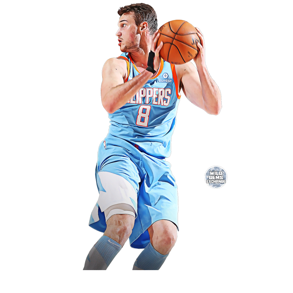 Danilo Gallinari